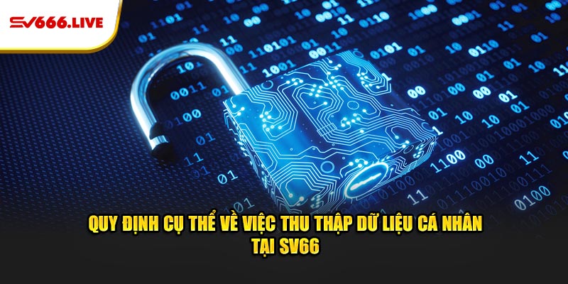 Chính Sách Bảo Mật SV66 -Bảo Vệ An Toàn Dữ Liệu Của Gamer 7 Quy định cụ thể về việc thu thập dữ liệu cá nhân tại SV66